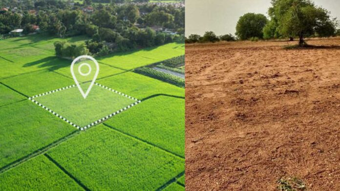 land-purchase land purchase