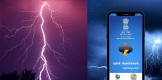 damnini app download
