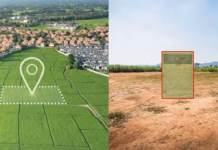 Tamil Nadu Old Land Records Online: Real Experience Using Digi Tamil Nadu Archives Website land records website